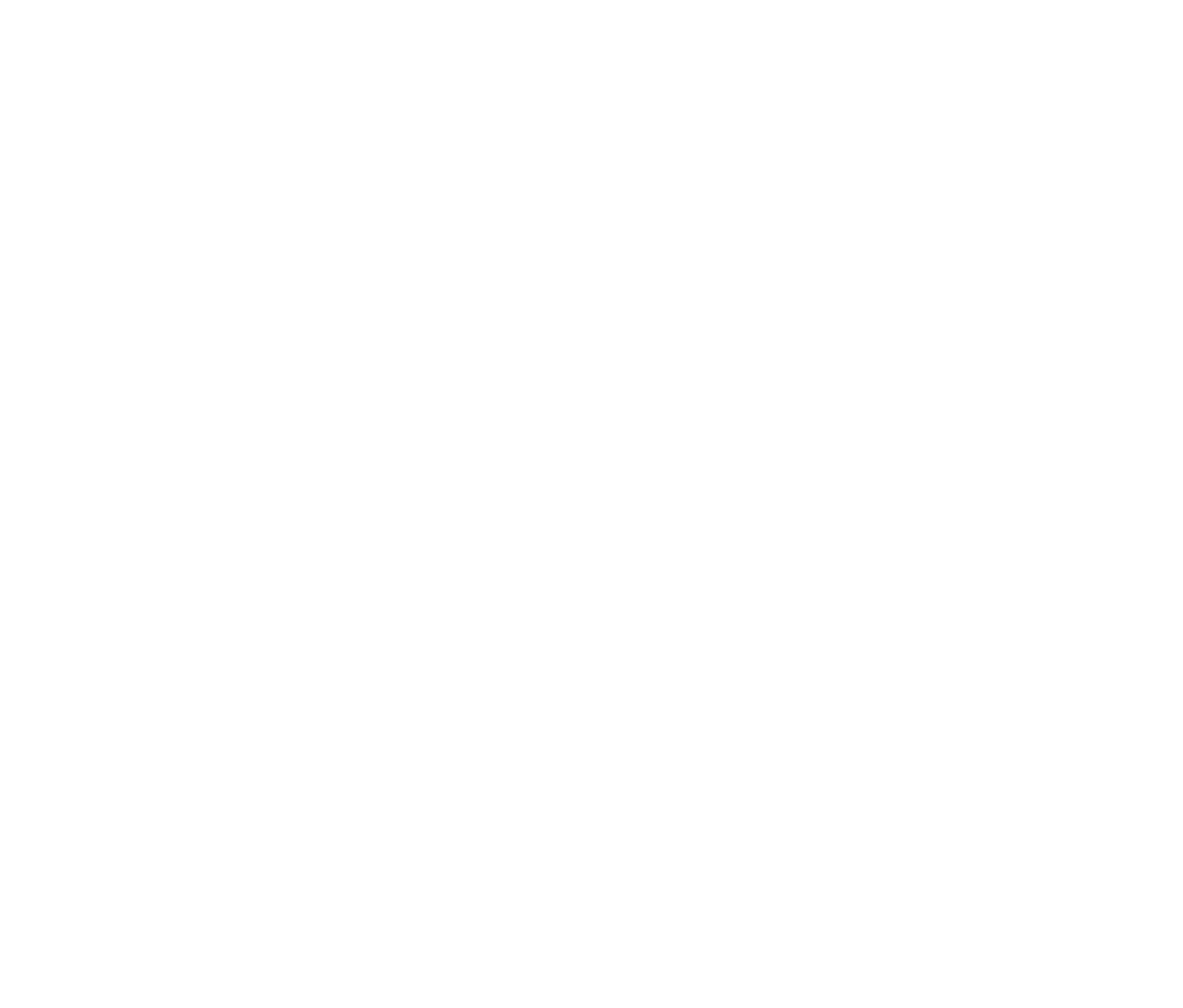 SV² Consulting Logo